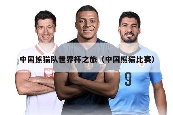 中国熊猫队世界杯之旅（中国熊猫比赛）