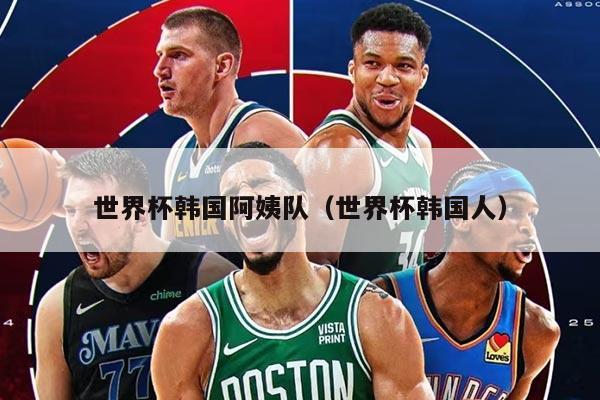 世界杯韩国阿姨队（世界杯韩国人）