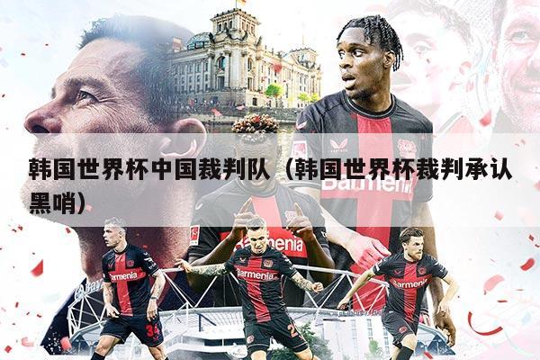 韩国世界杯中国裁判队（韩国世界杯裁判承认黑哨）