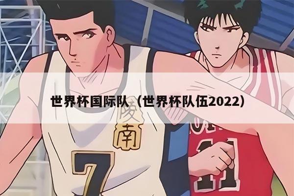 世界杯国际队（世界杯队伍2022）
