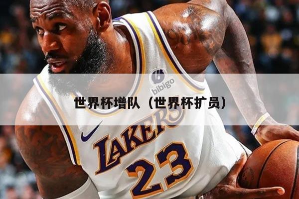 世界杯增队（世界杯扩员）