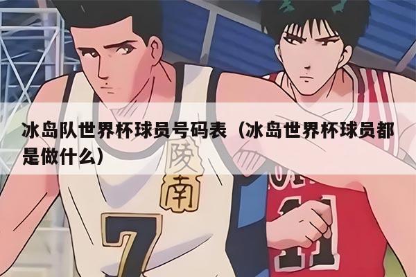 冰岛队世界杯球员号码表（冰岛世界杯球员都是做什么）