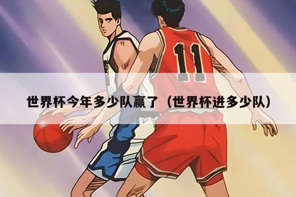 世界杯今年多少队赢了（世界杯进多少队）