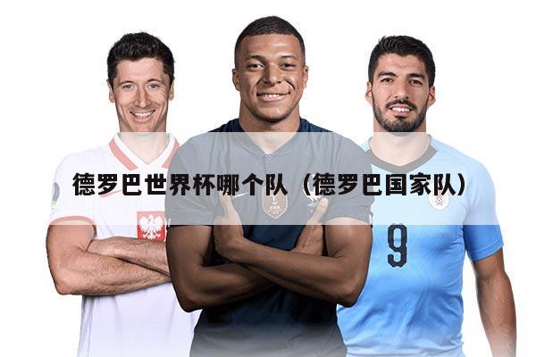 德罗巴世界杯哪个队（德罗巴国家队）