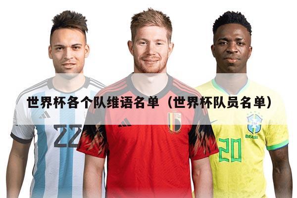 世界杯各个队维语名单（世界杯队员名单）