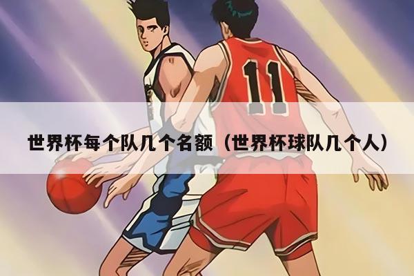 世界杯每个队几个名额（世界杯球队几个人）