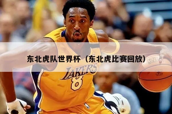 东北虎队世界杯（东北虎比赛回放）