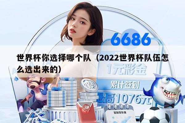 世界杯你选择哪个队（2022世界杯队伍怎么选出来的）
