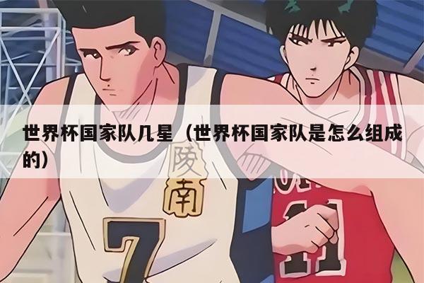 世界杯国家队几星（世界杯国家队是怎么组成的）