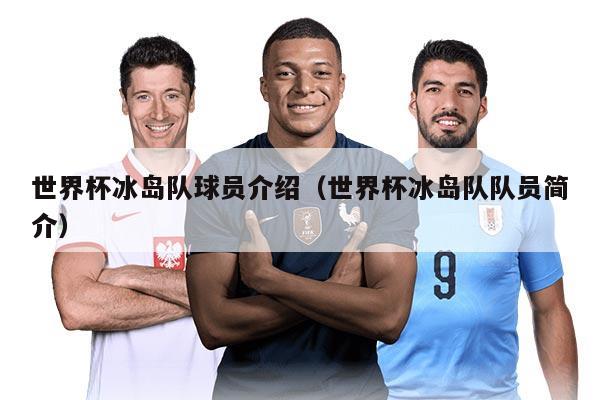 世界杯冰岛队球员介绍（世界杯冰岛队队员简介）