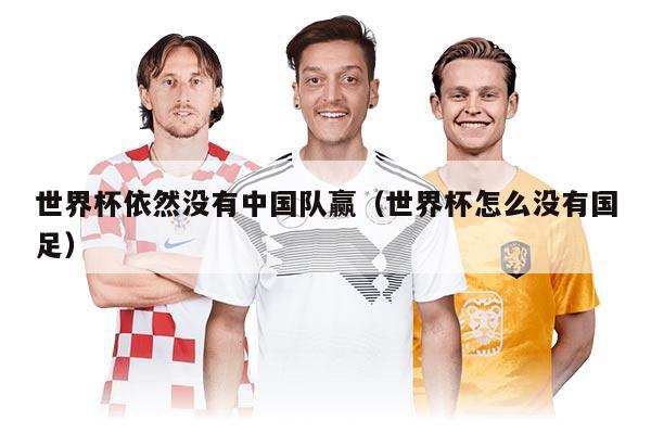 世界杯依然没有中国队赢（世界杯怎么没有国足）