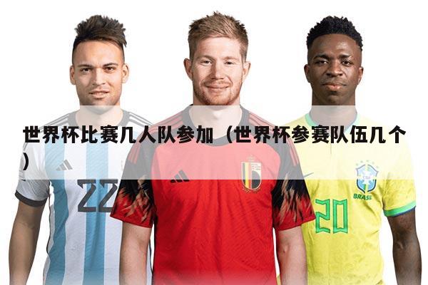 世界杯比赛几人队参加（世界杯参赛队伍几个）