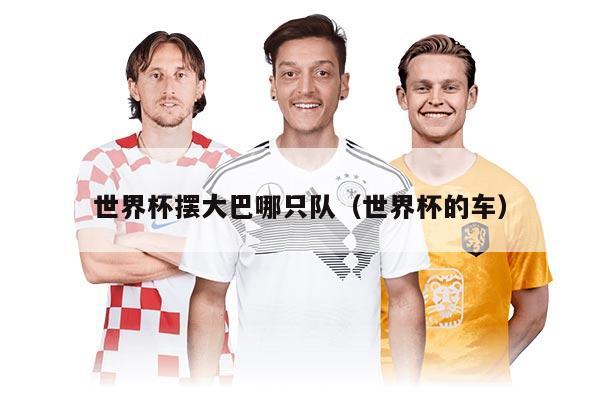 世界杯摆大巴哪只队（世界杯的车）