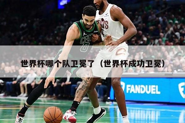 世界杯哪个队卫冕了（世界杯成功卫冕）