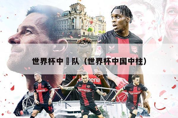 世界杯中囯队（世界杯中国中柱）