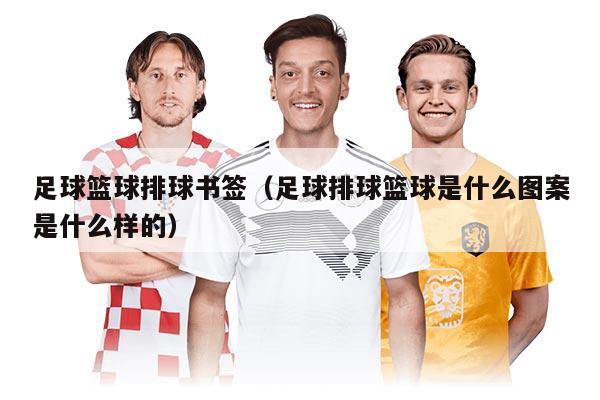 足球篮球排球书签（足球排球篮球是什么图案是什么样的）
