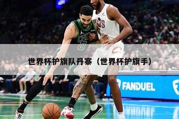 世界杯护旗队丹寨（世界杯护旗手）