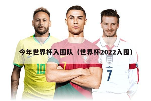 今年世界杯入围队（世界杯2022入围）