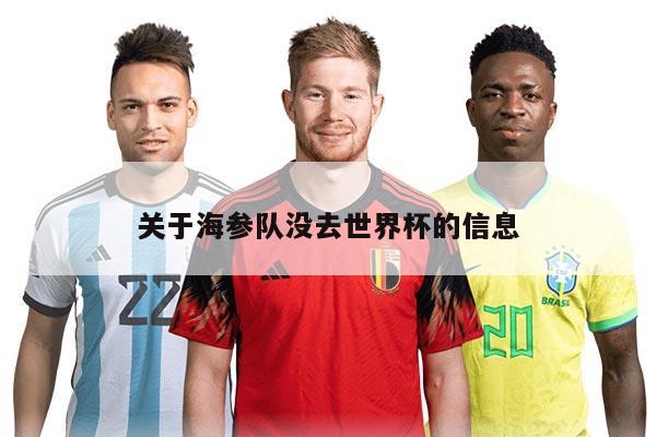 关于海参队没去世界杯的信息