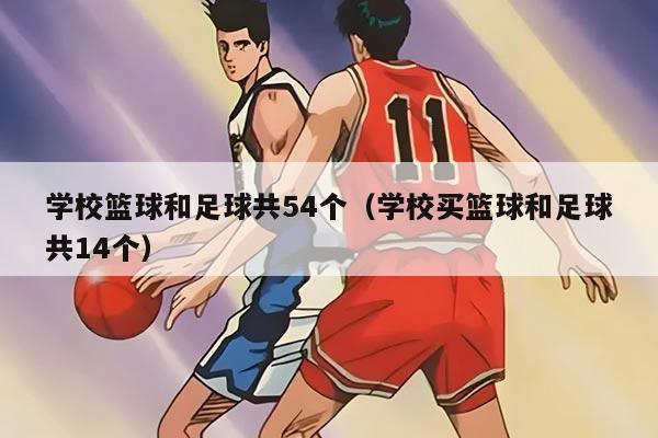 学校篮球和足球共54个（学校买篮球和足球共14个）