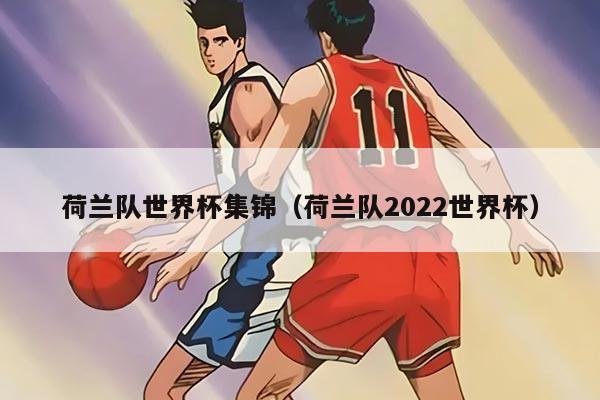 荷兰队世界杯集锦（荷兰队2022世界杯）