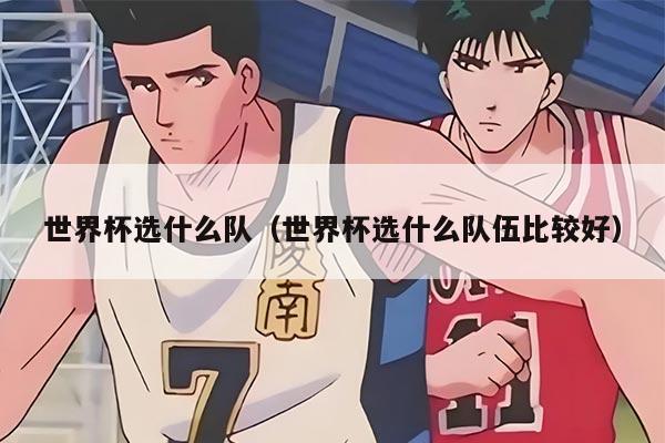世界杯选什么队（世界杯选什么队伍比较好）