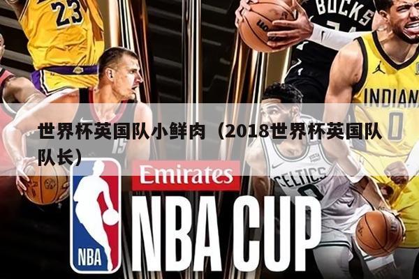 世界杯英国队小鲜肉（2018世界杯英国队队长）