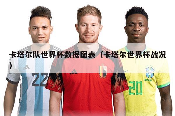 卡塔尔队世界杯数据图表（卡塔尔世界杯战况）