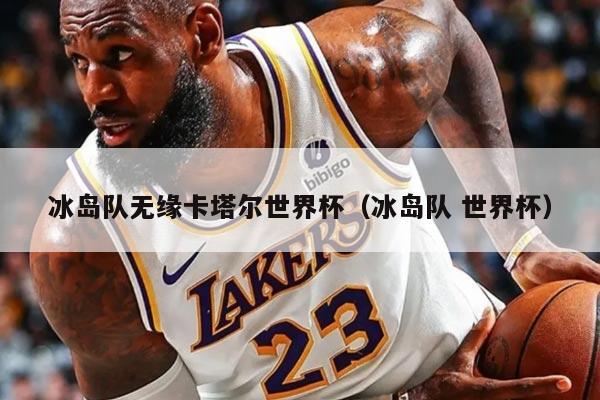 冰岛队无缘卡塔尔世界杯（冰岛队 世界杯）