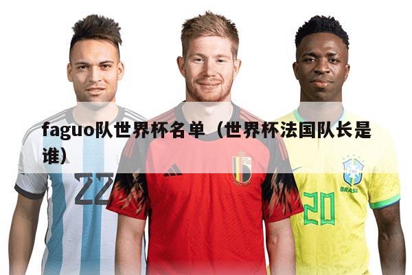 faguo队世界杯名单（世界杯法国队长是谁）