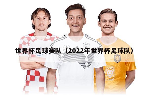 世界杯足球赛队（2022年世界杯足球队）