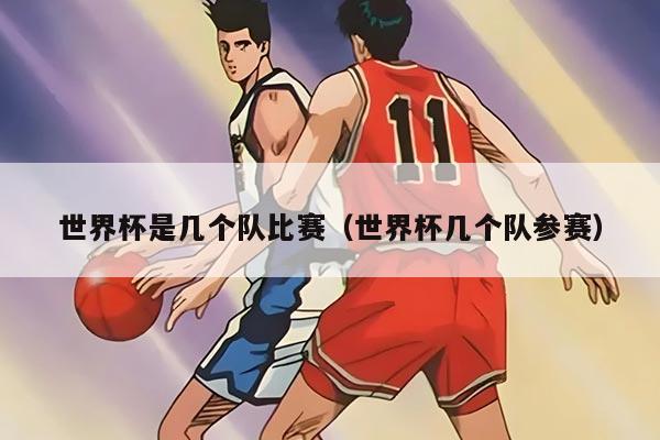 世界杯是几个队比赛（世界杯几个队参赛）