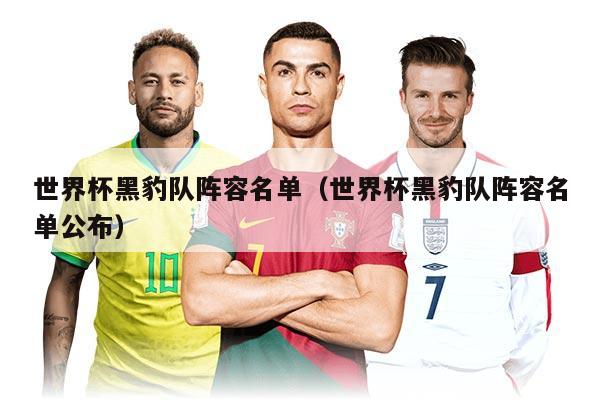 世界杯黑豹队阵容名单（世界杯黑豹队阵容名单公布）