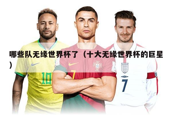 哪些队无缘世界杯了（十大无缘世界杯的巨星）