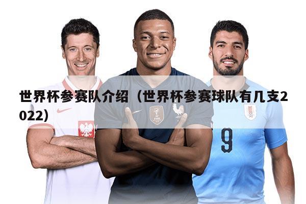 世界杯参赛队介绍（世界杯参赛球队有几支2022）