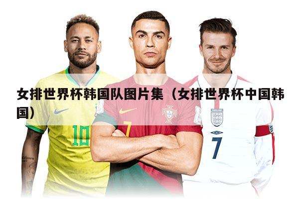 女排世界杯韩国队图片集（女排世界杯中国韩国）