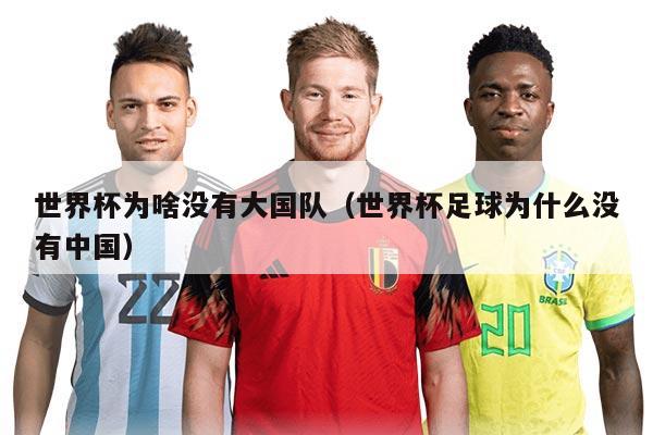 世界杯为啥没有大国队（世界杯足球为什么没有中国）